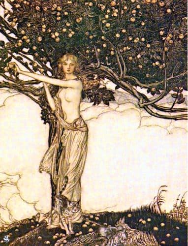 Freya — Arthur Rackham