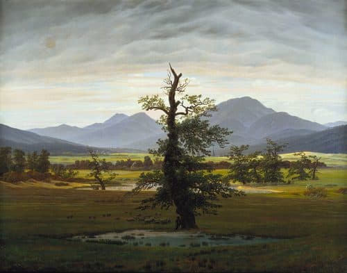 German:  Der einsame Baum Solitary Treetitle QS:P1476,de:"Der einsame Baum "label QS:Lde,"Der einsame Baum "label QS:Lsl,"Osamljeno drevo (Caspar David Friedrich)"label QS:Lja,"孤独な木"label QS:Lfr,"Paysage champêtre, le matin"label QS:Lml,"ദി ലോൺലി ട്രീ"label QS:Let,"Üksildane puu"label QS:Les,"El árbol solitario"label QS:Lhe,"העץ הבודד"label QS:Lru,"Деревенский пейзаж в утреннем свете"label QS:Larz,"شجره منعزله"label QS:Luk,"Сільський краєвид в ранковому світлі"label QS:Len,"Solitary Tree"label QS:Lfa,"درخت تنها"label QS:Lsv,"Det ensamma trädet" — Caspar David Friedrich