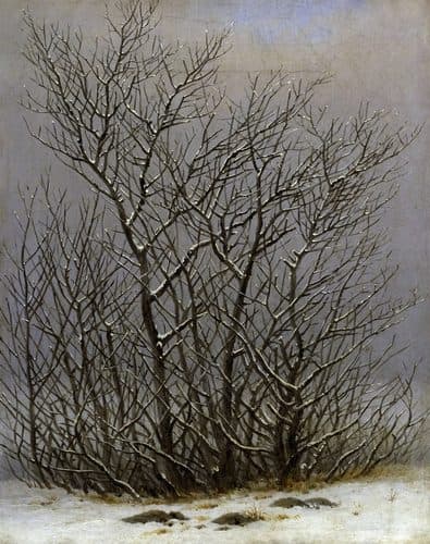 German:  Gebüsch im Schnee Bushes in the snowlabel QS:Lru,"Кусты в снегу"label QS:Lde,"Gebüsch im Schnee"label QS:Len,"Bushes in the snow"label QS:Lfr,"Buissons dans la neige"Alternative title: Trees and shrubs in the snow — Caspar David Friedrich