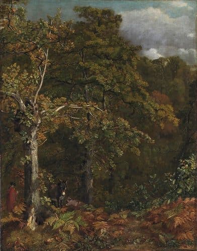Constable - Edge of a Wood, c. 1816, 2373 — John Constable
