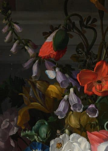 Roses, Convolvulus, Poppies, and Other Flowers in an Urn on a Stone Ledge — Rachel Ruysch