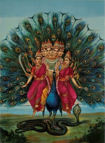 Sri Shanmukha Subrahmanya Swamilabel QS:Len,"Sri Shanmukha Subrahmanya Swami"label QS:Lar,"سري شانموكاها سوبرامانيا سوامي"label QS:Lml,"ശ്രീ ഷണ്മുഖ സുബ്രഹ്മണ്യസ്വാമി" — Raja Ravi Varma