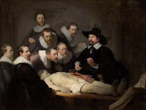 The Anatomy Lesson of Dr Nicolaes Tulp title QS:P1476,en:"The Anatomy Lesson of Dr Nicolaes Tulp "label QS:Len,"The Anatomy Lesson of Dr Nicolaes Tulp "label QS:Les,"Lección de anatomía del Dr. Nicolaes Tulp"label QS:Lhu,"Dr. Tulp anatómiája"label QS:Leu,"Tulp doktorearen anatomia ikasgaia"label QS:Lru,"Урок анатомии доктора Тульпа"label QS:Lde,"Die Anatomie des Dr. Tulp"label QS:Lbe,"Урок анатоміі доктара Тульпа"label QS:Lsr-ec,"Час анатомије доктора Николаса Тулпа"label QS:Lzh,"尼古拉斯·杜爾博士的解剖學課"label QS:Ltr,"Dr. Nicolaes Tulp'un Anatomi Dersi"label QS:Lja,"テュルプ博士の解剖学講義"label QS:Lsk,"Hodina anatómie u doktora Tulpa"label QS:Lhe,"שיעור האנטומיה של ד"ר טולפ"label QS:Lla,"Anatomiae lectio doctoris Nicolai Tulp"label QS:Lfi,"Tohtori Tulpin anatomianluento"label QS:Leo,"La anatomia leciono de D-ro Nicolaes Tulp"label QS:Lit,"Lezione di anatomia del dottor Nicolaes Tulp"label QS:Lfr,"La Leçon d'anatomie du docteur Tulp"label QS:Lcv,"Тульп тухтăрăн анатоми урокĕ"label QS:Luz,"Doktor Tulpning anatomiya darsi"label QS:Luk,"Урок анатомії доктора Тюльпа"label QS:Lko,"니콜라스 튈프 박사의 해부학 수업"label QS:Lfa,"کلاس تشریح دکتر نیکولاس تولپ"label QS:Larz,"درس التشريح مع الدكتور تولب"label QS:Lpt,"A Lição de Anatomia do Dr. Tulp"label QS:Lhy,"Բժիշկ Տուլպի անատոմիայի դասը"label QS:Llv,"Doktora Tulpa anatomijas stunda"label QS:Lsv,"Doktor Nicolaes Tulps anatomilektion"label QS:Lsr,"Час анатомије доктора Николаса Тулпа"label QS:Lsl,"Anatomija dr. Tulpa"label QS:Llt,"Daktaro Nikolo Tulpo anatomijos pamoka"label QS:Lnl,"De anatomische les van Dr. Nicolaes Tulp"label QS:Lth,"บทเรียนกายวิภาคของนายแพทย์ตึลป์"label QS:Lid,"Pelajaran Anatomi Dr. Nicolaes Tulp"label QS:Lpl,"Lekcja anatomii doktora Tulpa"label QS:Lhr,"Sat anatomije dr. Nicolaesa Tulpa"label QS:Lsh,"Čas anatomije doktora Nicolasa Tulpa"label QS:Let,"Doktor Tulpi anatoomialoeng"label QS:Lmk,"Час по анатомија на Д-р Николас Тилп"label QS:Laz,"Doktor Tülpün anatomiya dərsi"label QS:Lca,"Lliçó d'anatomia del Dr. Nicolaes Tulp"label QS:Lgl,"Lección de anatomía do Dr. Nicolaes Tulp"label QS:Lar,"درس التشريح مع الدكتور نيقولاس تولب"label QS:Lel,"Μάθημα ανατομίας του Δρ. Τουλπ"label QS:Lcs,"Anatomie doktora Tulpa" — Rembrandt