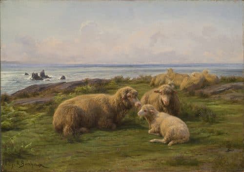 French:  Moutons au bord de la Mer[1]Sheep by the Seatitle QS:P1476,fr:"Moutons au bord de la Mer[1]"label QS:Lfr,"Moutons au bord de la Mer[1]"label QS:Len,"Sheep by the Sea" — Rosa Bonheur