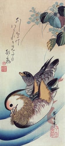 Mandarin duck3 courtesy copy — Utagawa Hiroshige